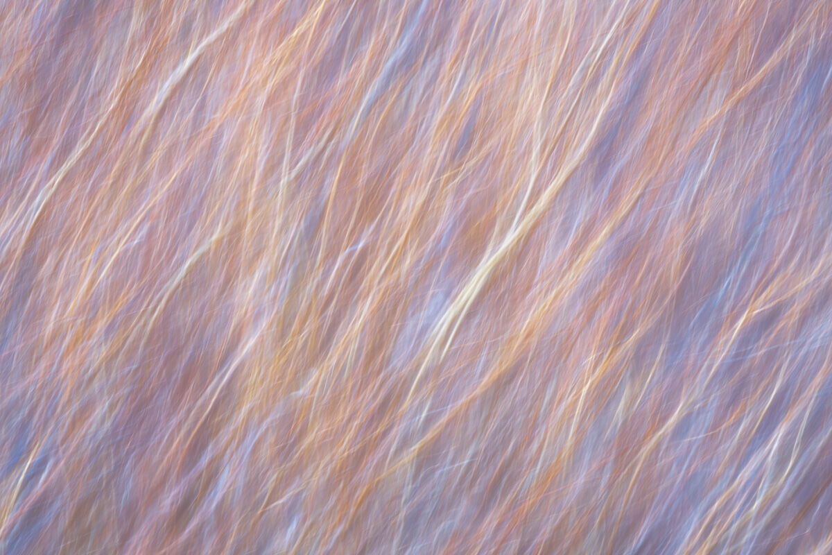 ICM, long exposure, painterly, impressionism